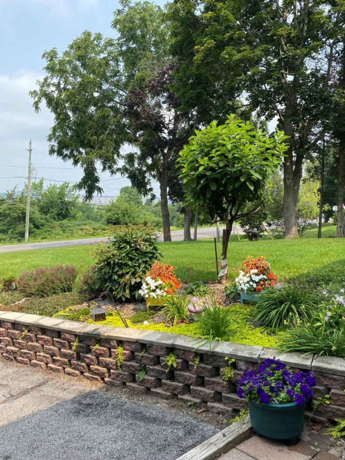 Lazy Dayz Vacation Rental Picton Bagian luar foto